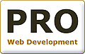Rapidfyre is a professional web company